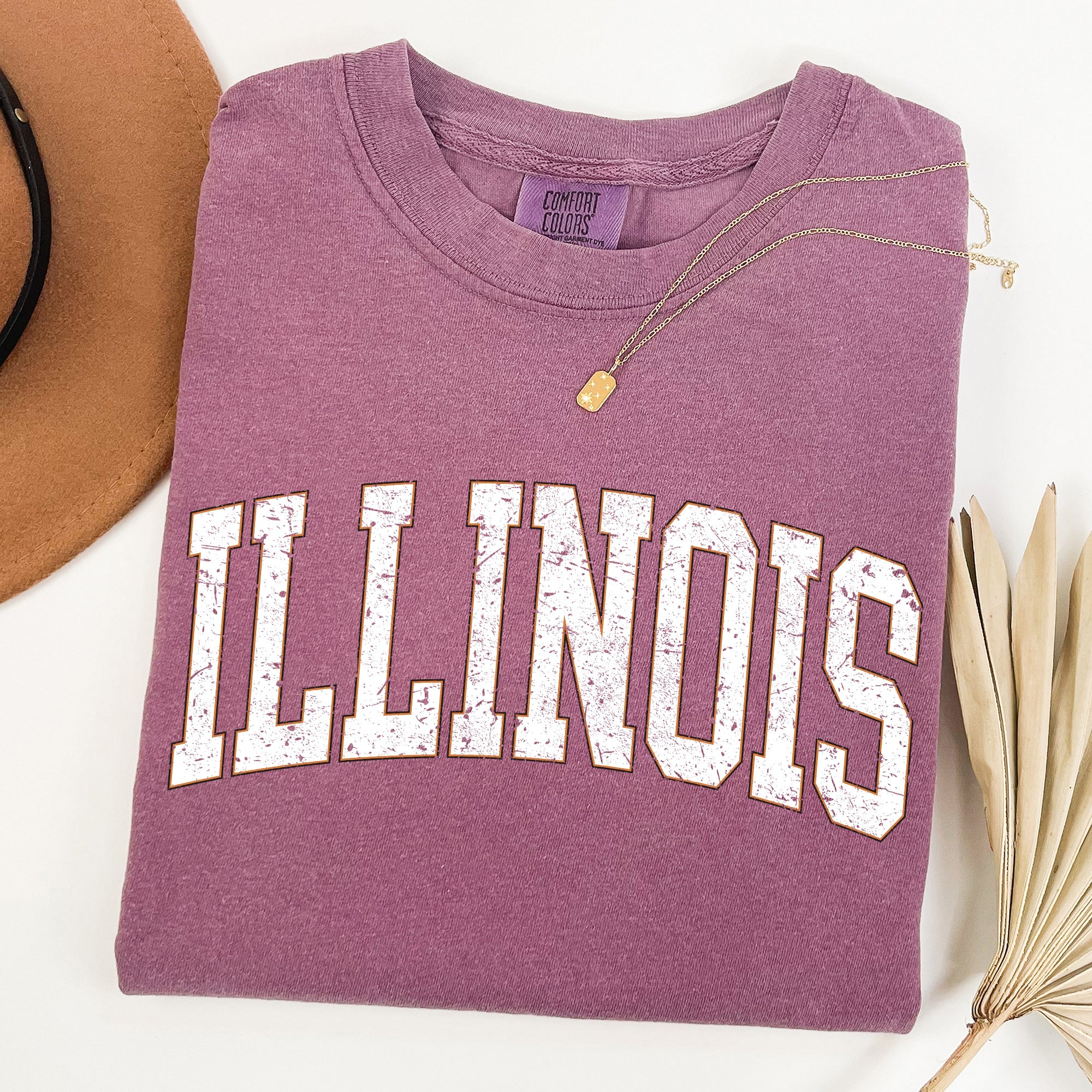 Illinois, Football, Sports, Game Day, Big Game, Touchdown, Tailgate Party, University, College, State Tshirt Comfort Colors T-Shirt