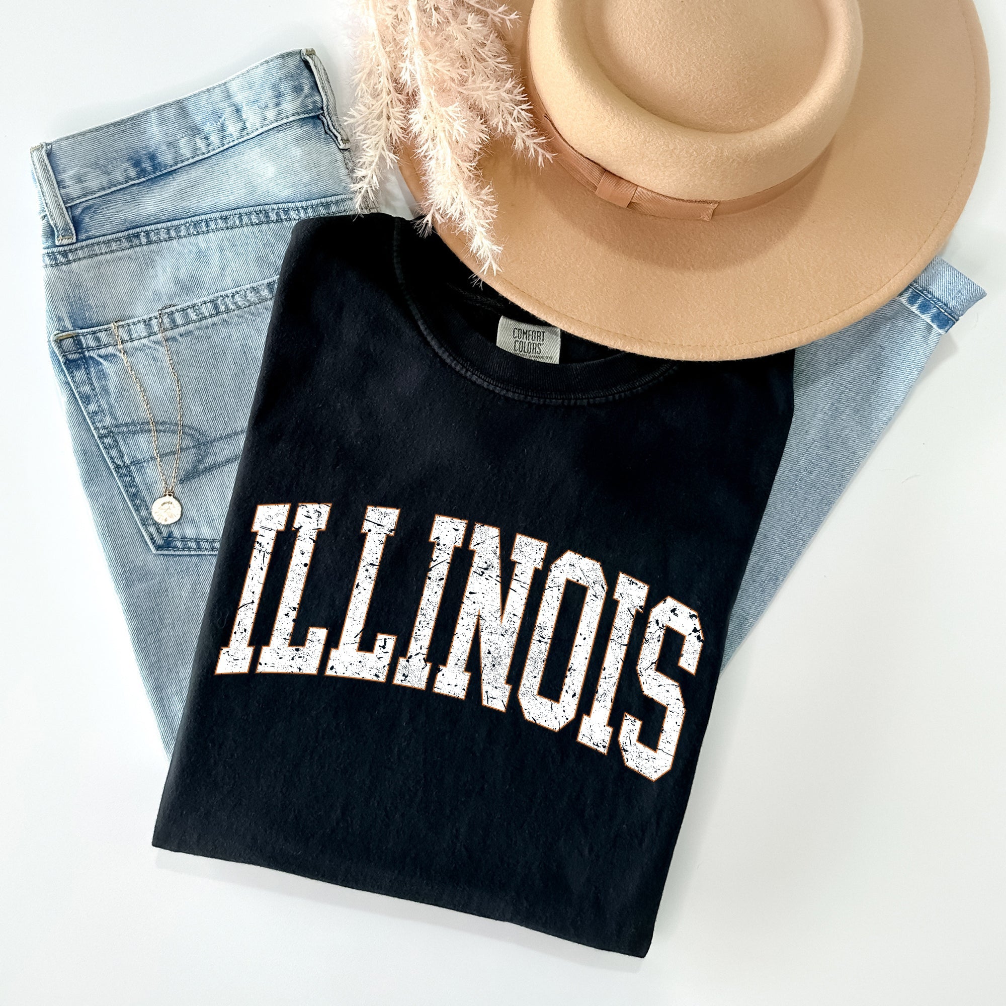 Illinois, Football, Sports, Game Day, Big Game, Touchdown, Tailgate Party, University, College, State Tshirt Comfort Colors T-Shirt