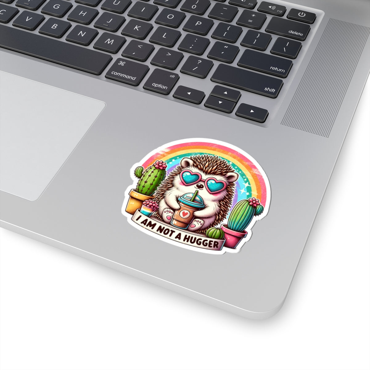 Cute Hedgehog Kiss-Cut Sticker - I Am Not A Hugger, Laptop Decal, Fun Gift, Cactus Art, Colorful Stickers