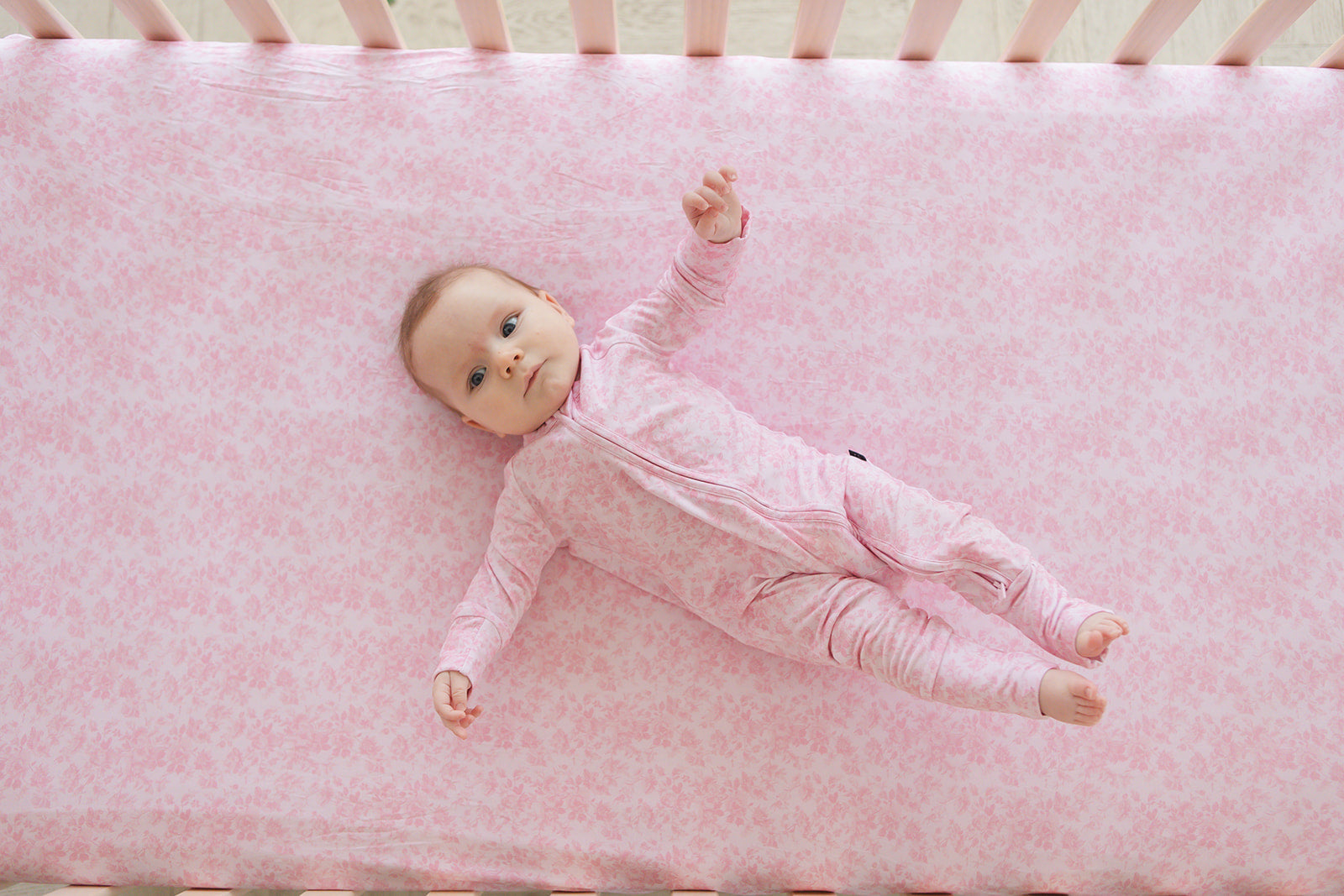 Pink Toile - Zippy
