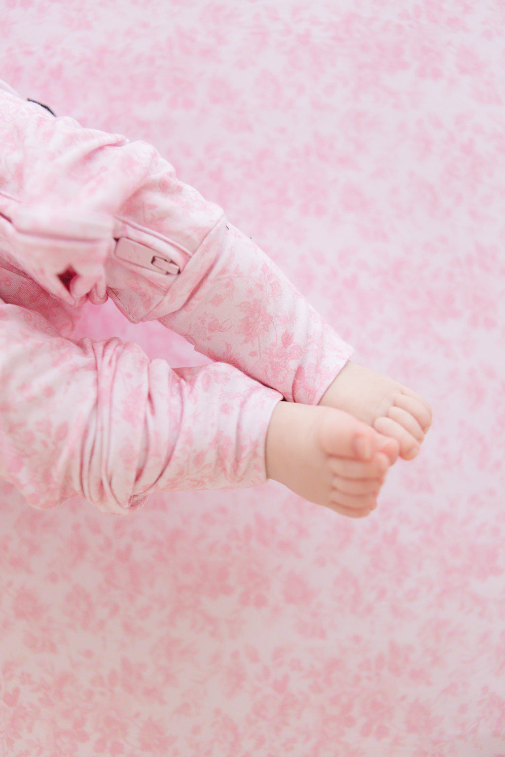 Pink Toile - Zippy