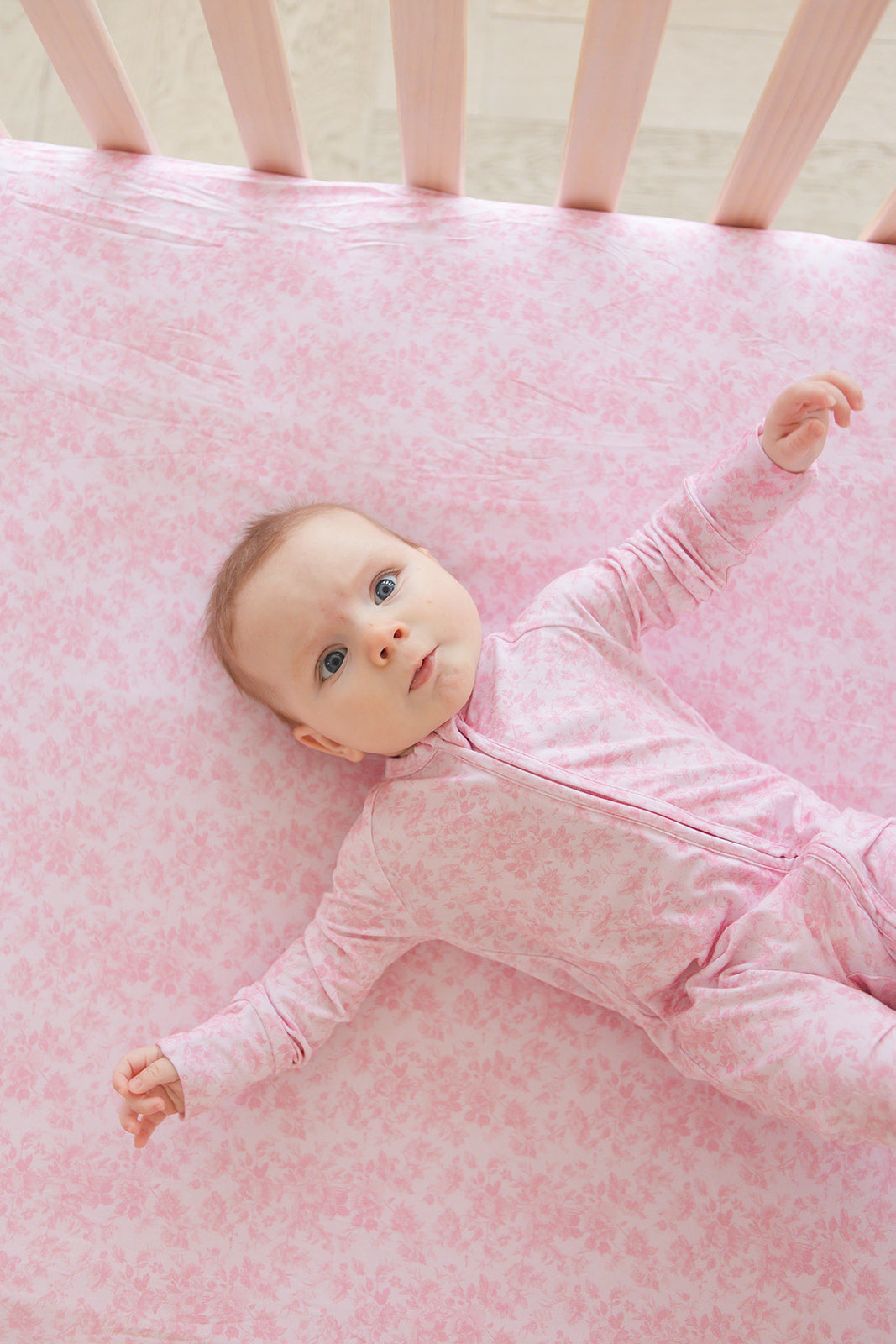 Pink Toile - Zippy