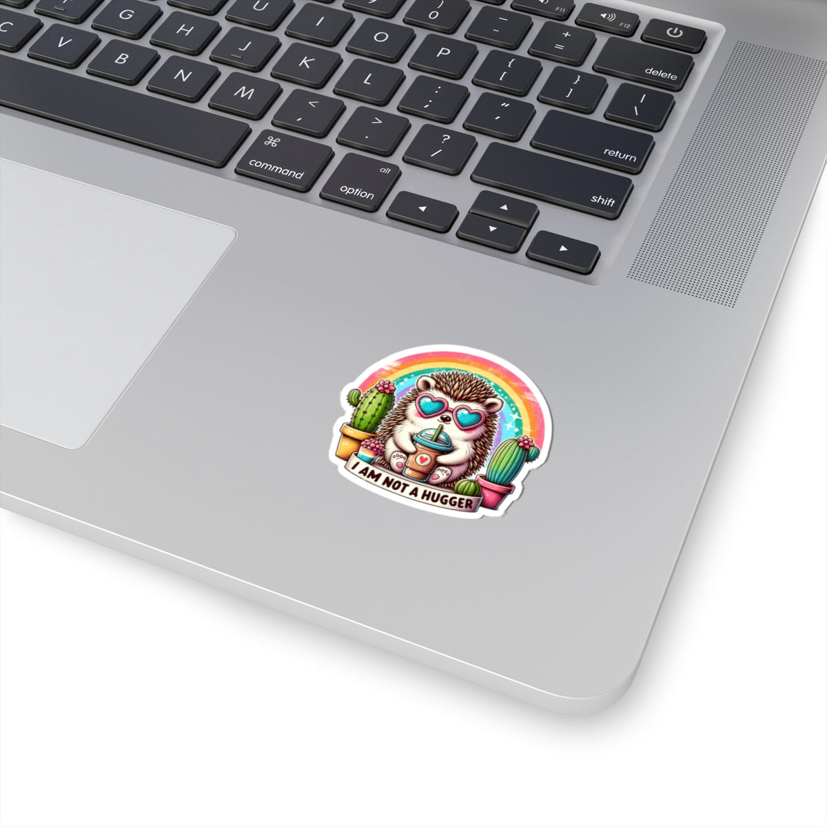 Cute Hedgehog Kiss-Cut Sticker - I Am Not A Hugger, Laptop Decal, Fun Gift, Cactus Art, Colorful Stickers