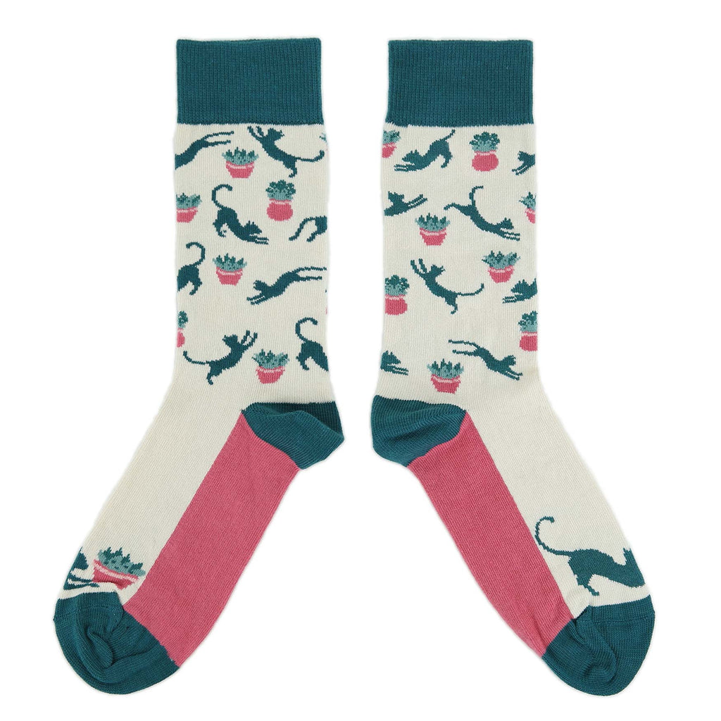 Cream Teal Cat Socks - Women's Novelty Socks