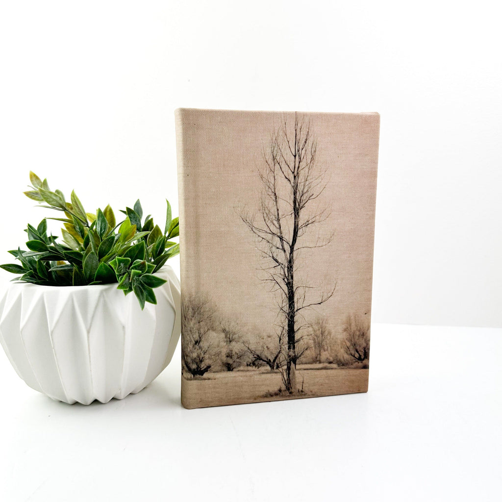 Motif Book- Aged Terrain