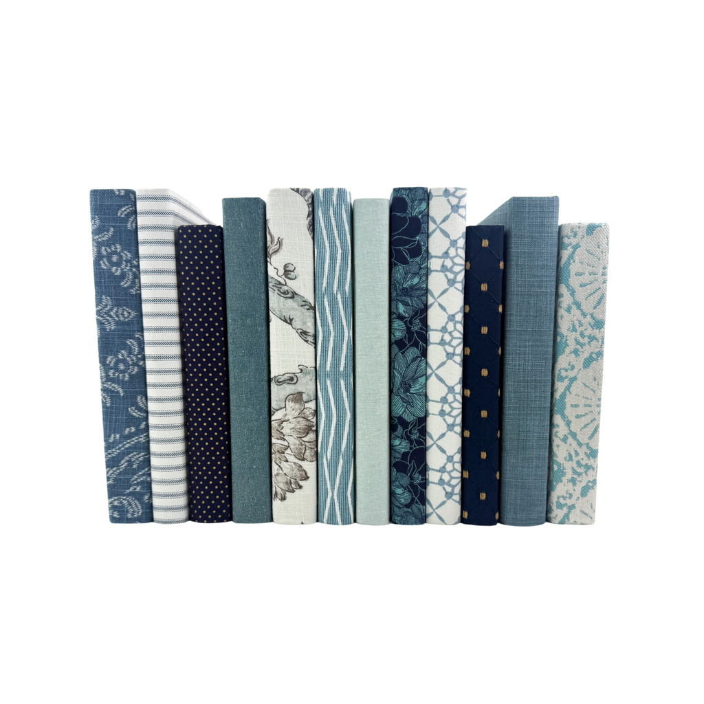Assorted Blue Book Set- Designer Curated