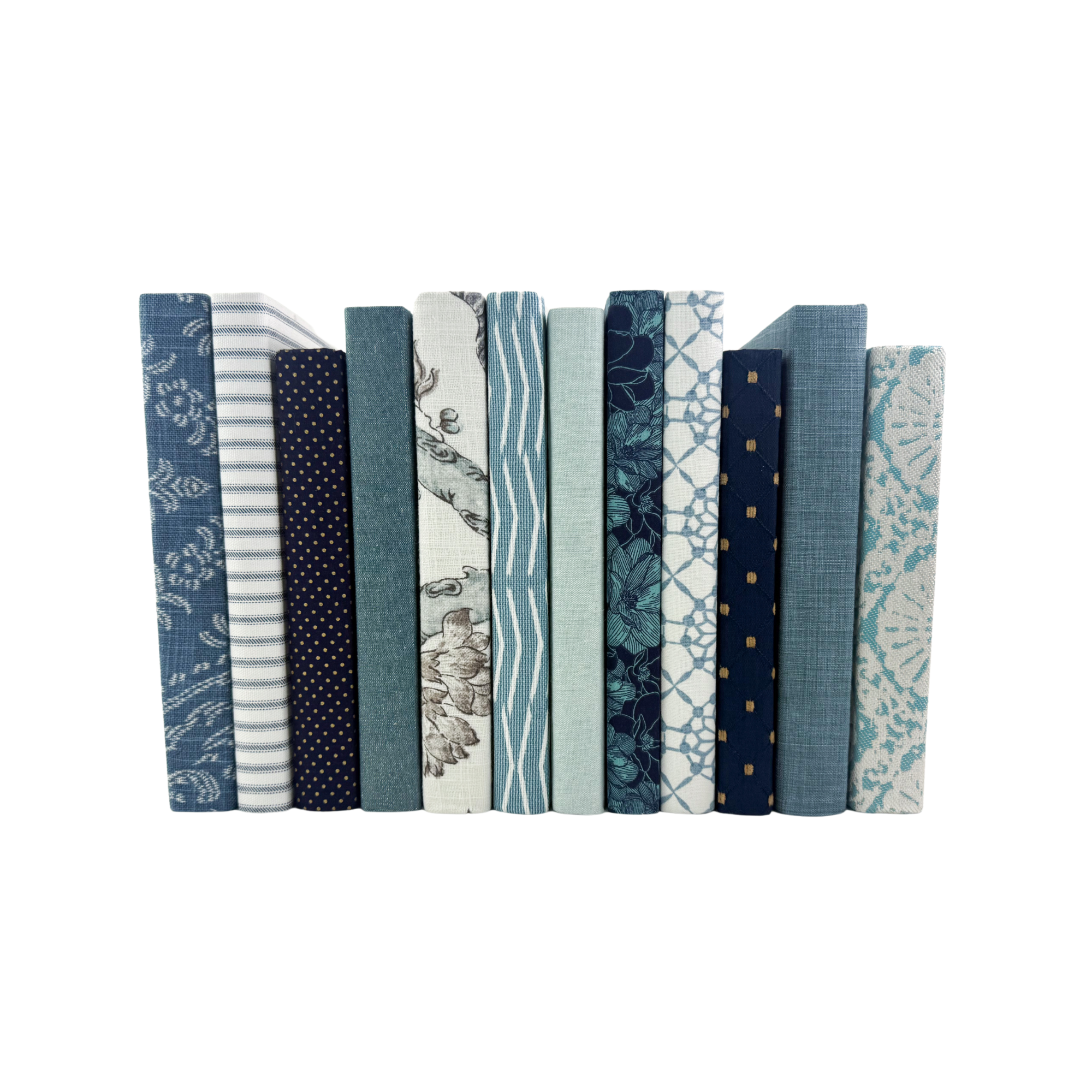 Assorted Blue Book Set- Designer Curated