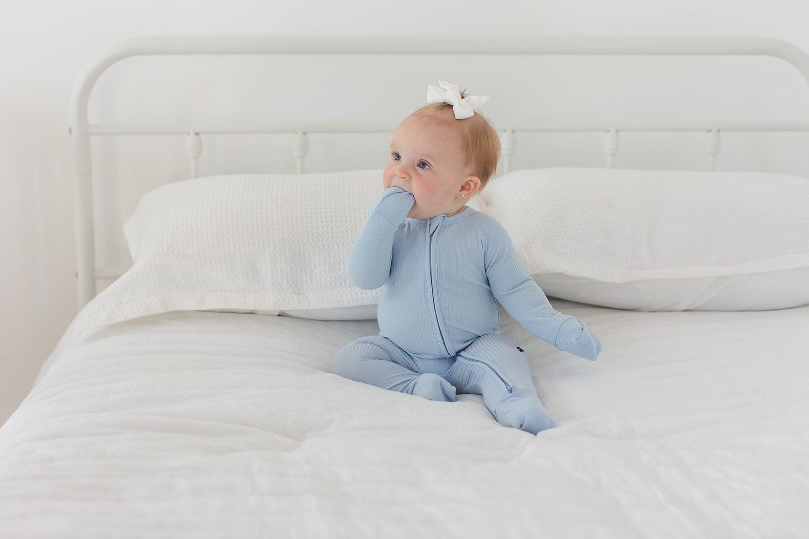 Blue Macaron (ribbed) - Zippy