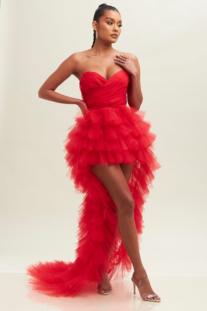 Pretty Little Tulle Dress