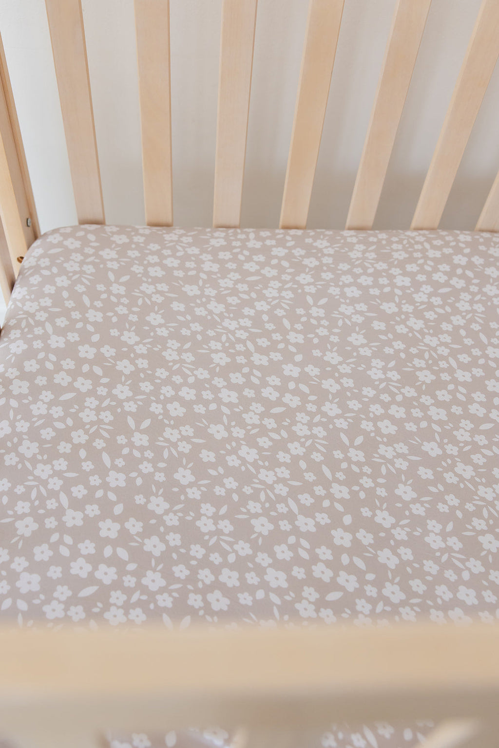 Calista - Crib Sheet