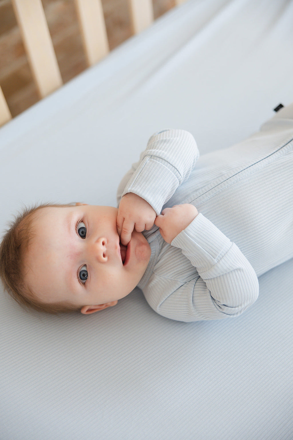 Baby Blue (ribbed) - Zippy