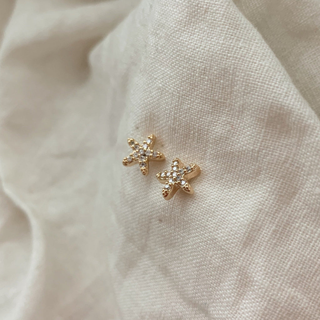 Starfish Studs