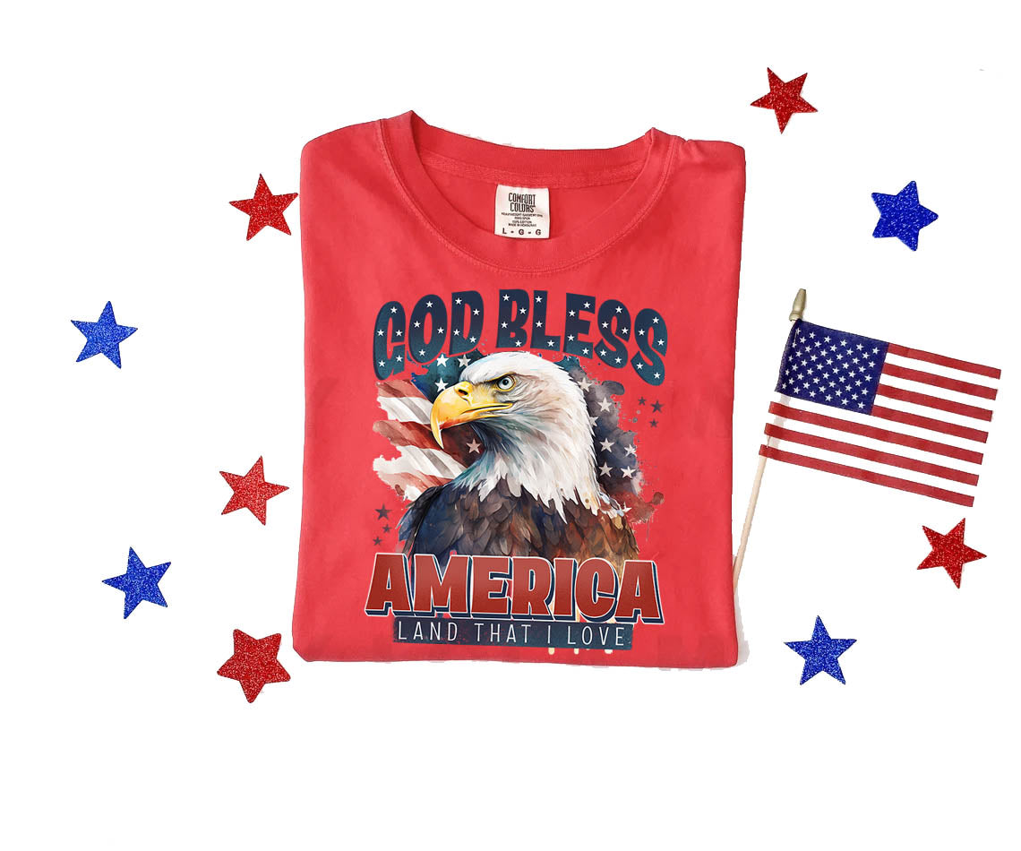 God Bless America Graphic Tee