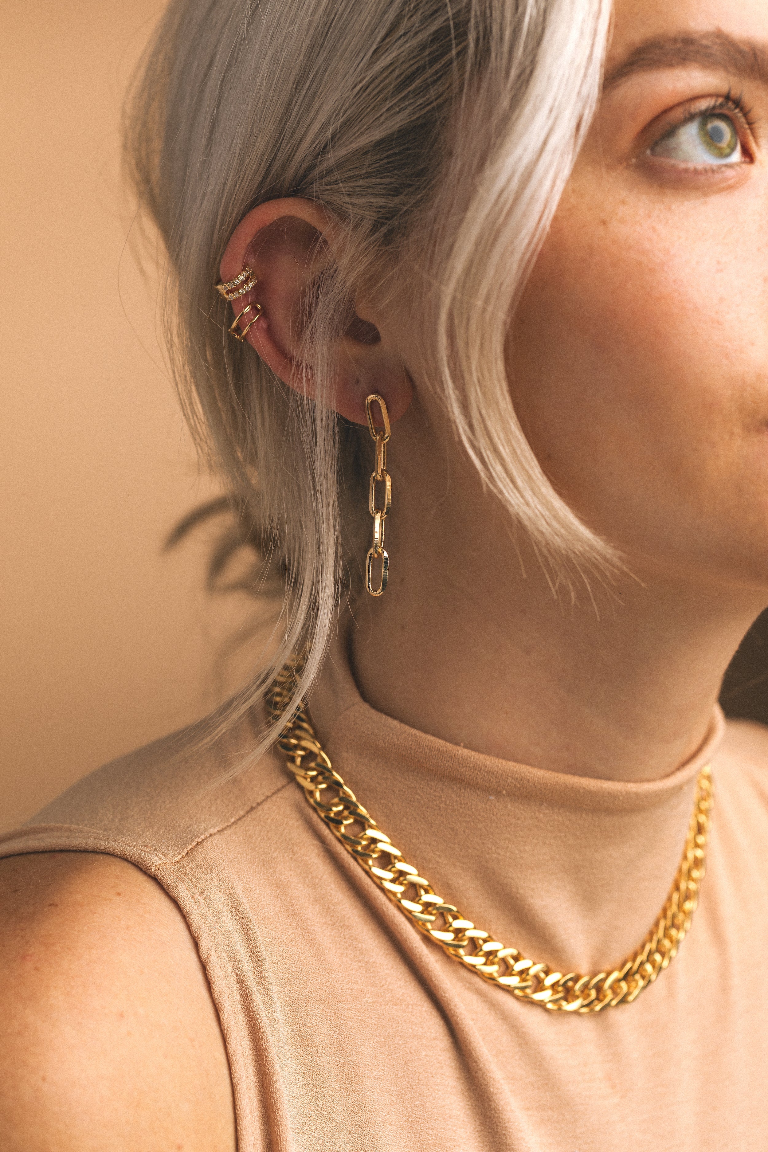 PaperClip Link Earrings