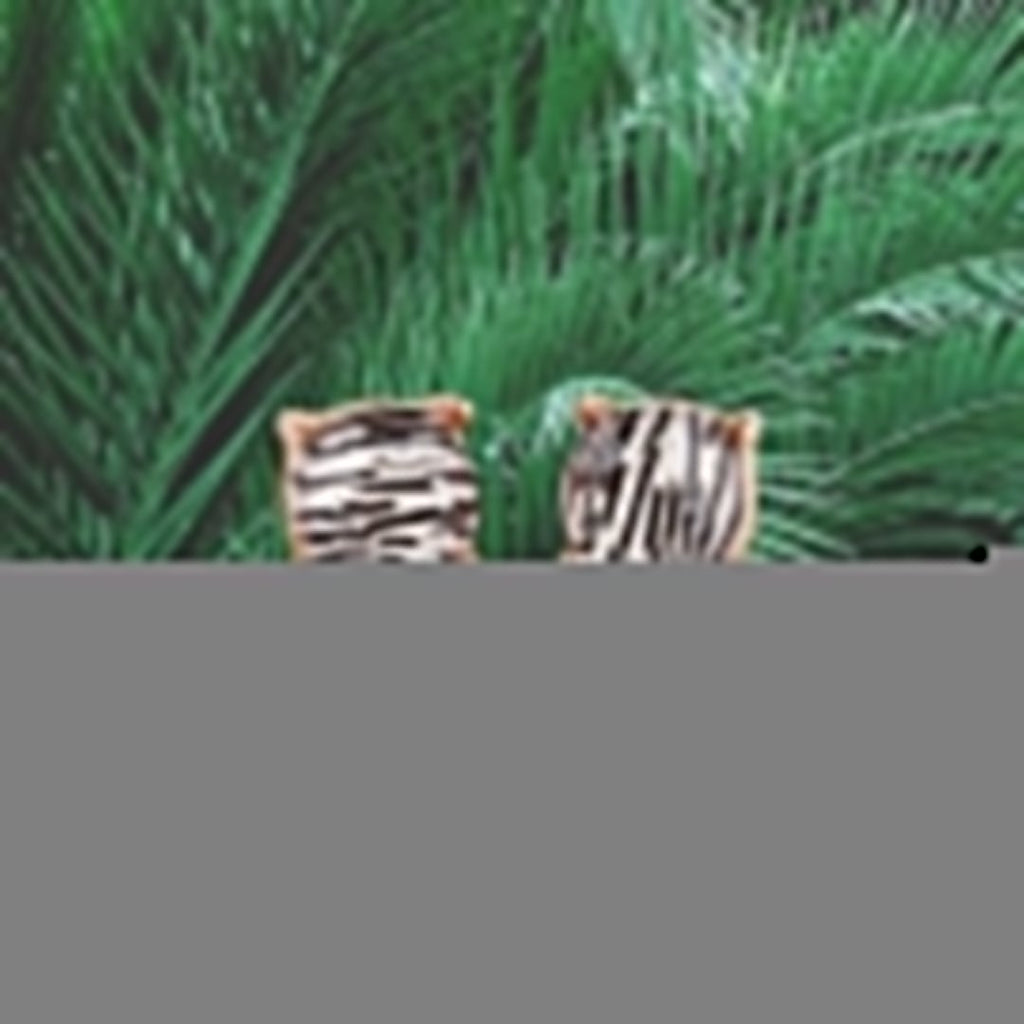 Zebra Stripes Square Stud Earrings