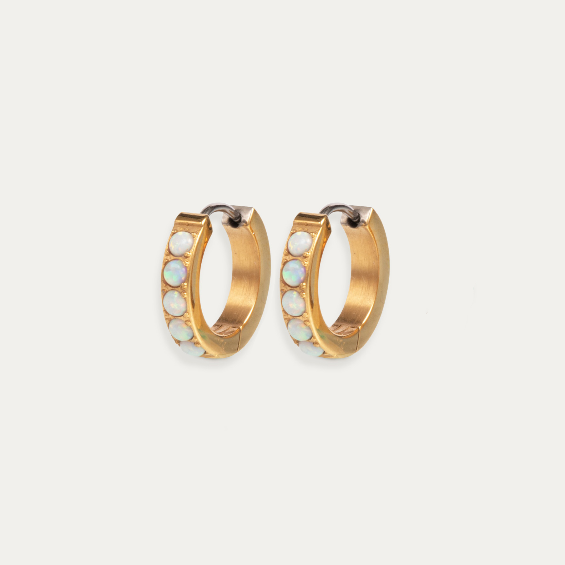 Alana Hoop Earrings