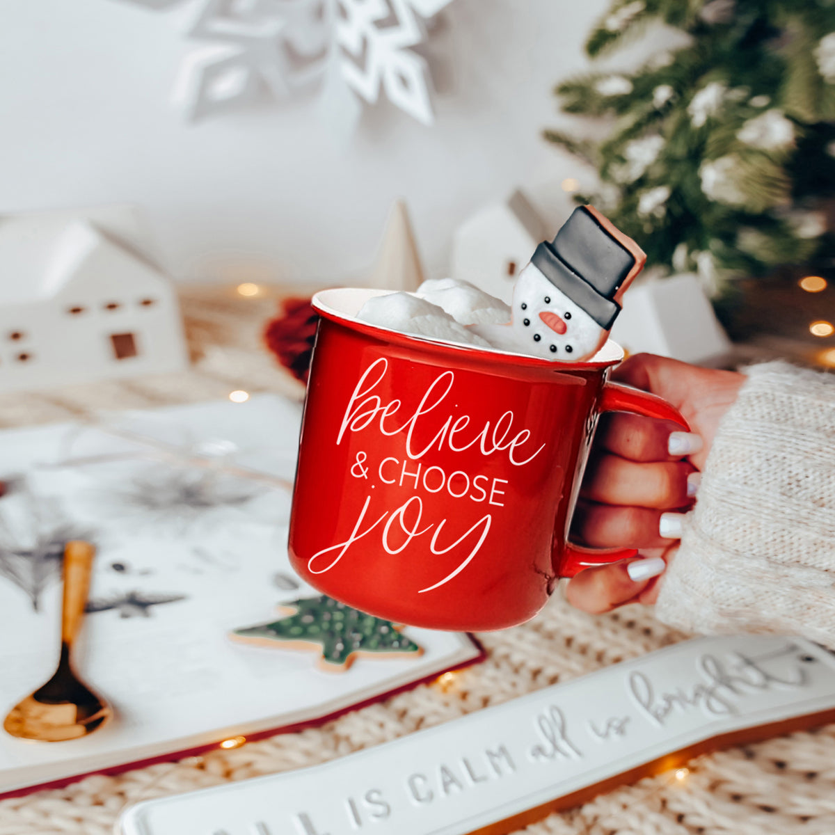 Believe & Joy Mug
