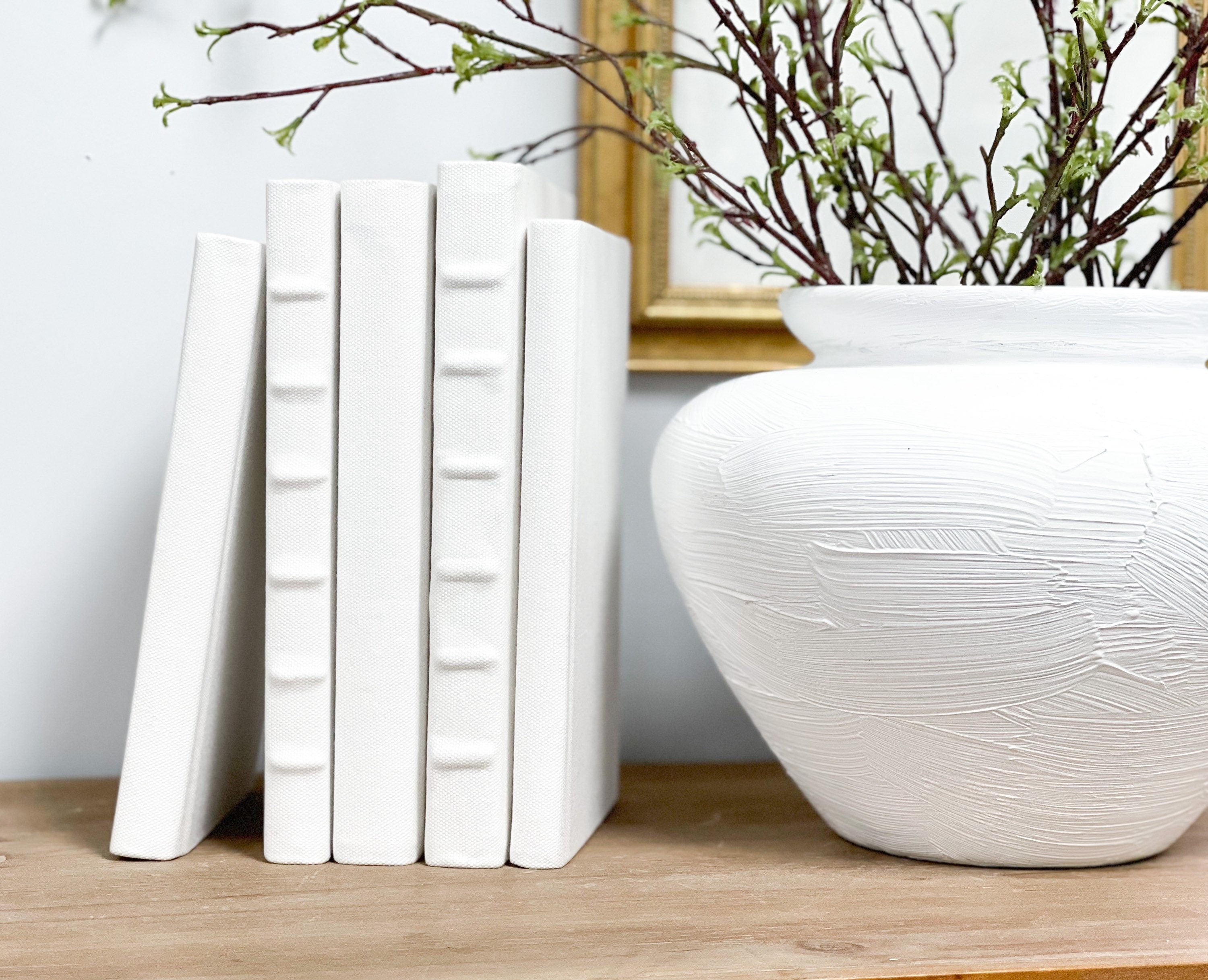 Books for Shelf Decor