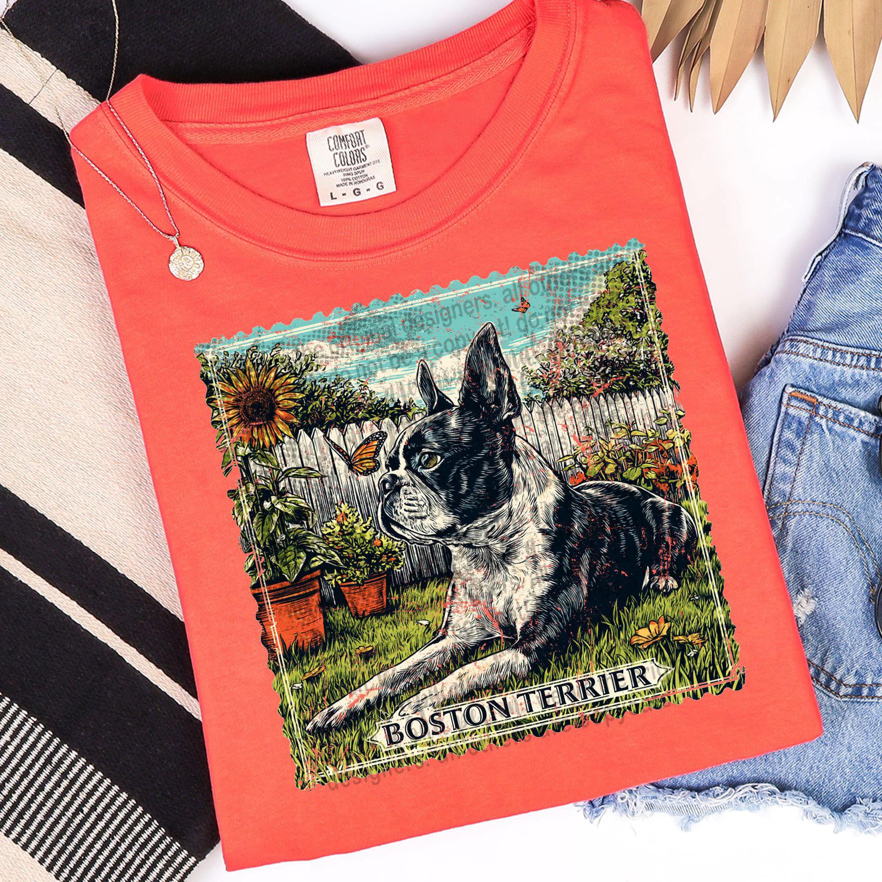 Boston Terrier Graphic Tee