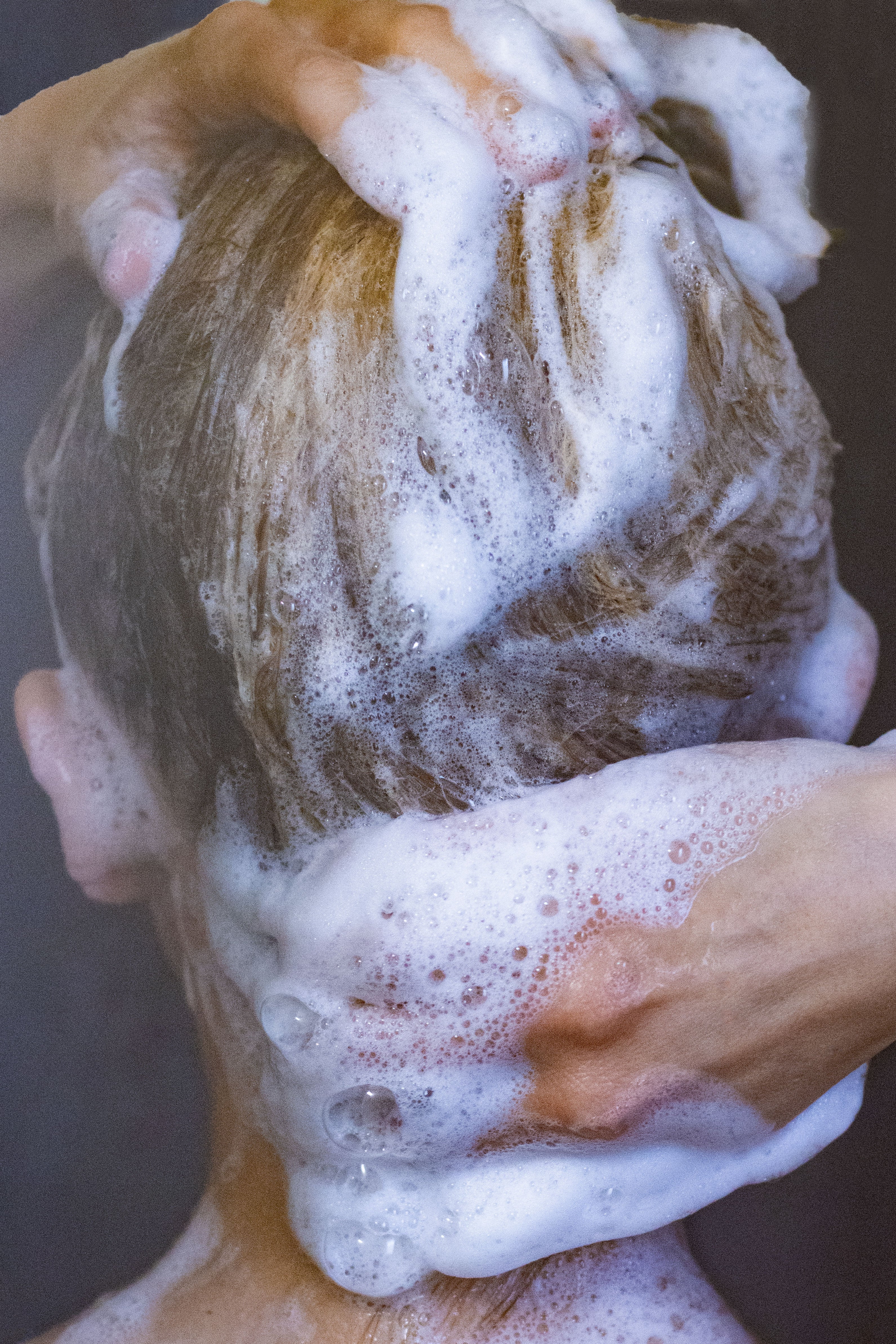 Shampoo Bar | Hidden Falls | Vitamin B-5 & Argan Oil